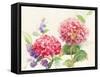 Watercolor Hydrangea-Danhui Nai-Framed Stretched Canvas