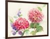 Watercolor Hydrangea-Danhui Nai-Framed Art Print