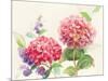 Watercolor Hydrangea-Danhui Nai-Mounted Art Print