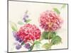 Watercolor Hydrangea-Danhui Nai-Mounted Art Print