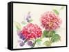 Watercolor Hydrangea-Danhui Nai-Framed Stretched Canvas