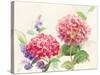 Watercolor Hydrangea-Danhui Nai-Stretched Canvas