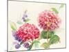 Watercolor Hydrangea-Danhui Nai-Mounted Art Print