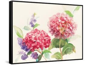 Watercolor Hydrangea-Danhui Nai-Framed Stretched Canvas