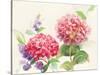 Watercolor Hydrangea-Danhui Nai-Stretched Canvas