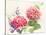 Watercolor Hydrangea-Danhui Nai-Stretched Canvas
