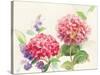 Watercolor Hydrangea-Danhui Nai-Stretched Canvas