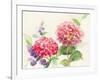 Watercolor Hydrangea-Danhui Nai-Framed Art Print