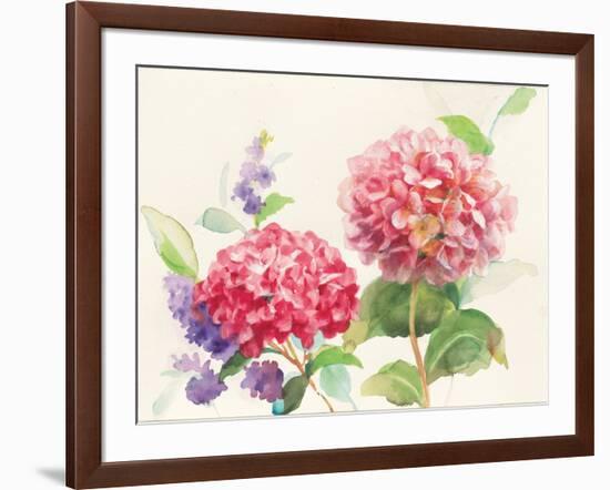 Watercolor Hydrangea-Danhui Nai-Framed Art Print