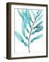 Watercolor Kelp I-Jennifer Goldberger-Framed Art Print