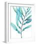 Watercolor Kelp I-Jennifer Goldberger-Framed Art Print