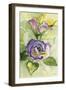 Watercolor Lavender Floral II-Lanie Loreth-Framed Art Print