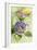 Watercolor Lavender Floral II-Lanie Loreth-Framed Art Print