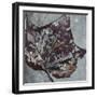 Watercolor Leaves Square II-Patricia Pinto-Framed Art Print