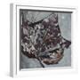 Watercolor Leaves Square II-Patricia Pinto-Framed Art Print