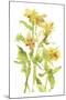 Watercolor Lilies II-Melissa Wang-Mounted Art Print