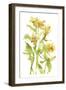 Watercolor Lilies II-Melissa Wang-Framed Art Print