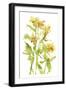 Watercolor Lilies II-Melissa Wang-Framed Art Print
