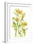 Watercolor Lilies II-Melissa Wang-Framed Art Print