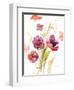 Watercolor Modern Poppies-Lanie Loreth-Framed Art Print