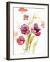 Watercolor Modern Poppies-Lanie Loreth-Framed Art Print