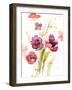 Watercolor Modern Poppies-Lanie Loreth-Framed Art Print