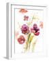 Watercolor Modern Poppies-Lanie Loreth-Framed Art Print