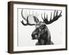 Watercolor Moose-Ben Gordon-Framed Giclee Print