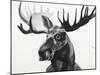 Watercolor Moose-Ben Gordon-Mounted Giclee Print