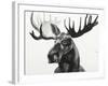Watercolor Moose-Ben Gordon-Framed Giclee Print