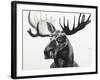 Watercolor Moose-Ben Gordon-Framed Giclee Print
