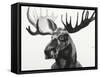 Watercolor Moose-Ben Gordon-Framed Stretched Canvas