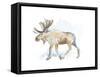 Watercolor Moose-Lanie Loreth-Framed Stretched Canvas
