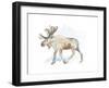 Watercolor Moose-Lanie Loreth-Framed Art Print