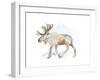 Watercolor Moose-Lanie Loreth-Framed Art Print