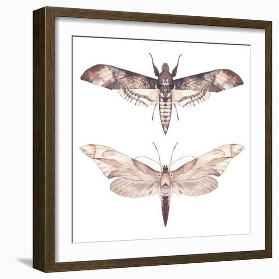 Watercolor Moth Set-Eisfrei-Framed Art Print