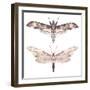 Watercolor Moth Set-Eisfrei-Framed Art Print