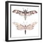 Watercolor Moth Set-Eisfrei-Framed Art Print