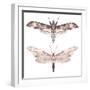 Watercolor Moth Set-Eisfrei-Framed Art Print