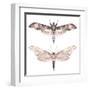 Watercolor Moth Set-Eisfrei-Framed Art Print
