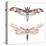 Watercolor Moth Set-Eisfrei-Stretched Canvas