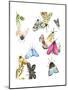 watercolor moths 1-Natasha Marie-Mounted Giclee Print