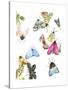 watercolor moths 1-Natasha Marie-Stretched Canvas
