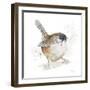 Watercolor Mountain Bird I-Patricia Pinto-Framed Art Print