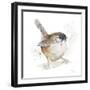 Watercolor Mountain Bird I-Patricia Pinto-Framed Art Print