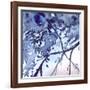 Watercolor Navy Blue Foliage Abstract Texture Background-Silmairel-Framed Art Print