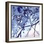 Watercolor Navy Blue Foliage Abstract Texture Background-Silmairel-Framed Art Print