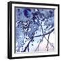 Watercolor Navy Blue Foliage Abstract Texture Background-Silmairel-Framed Art Print