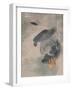 Watercolor on Linen I-Jacob Green-Framed Art Print