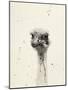 Watercolor Ostrich 2-Ben Gordon-Mounted Giclee Print